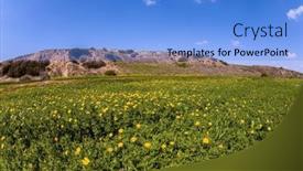 Presentation with sun desert - Slide set with magnificent-spring-blooming-negev-desert background and a light blue colored foreground