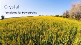  Presentation with green hills - Presentation design enhanced with magnificent-spring-in-israel-beautiful background and a sky blue colored foreground