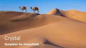  Presentation with camel - Beautiful presentation featuring magnificent-two-one-humped-camel backdrop and a coral colored foreground