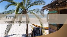  Presentation with palm tree - Presentation design consisting of magnificent-view-of-a-beach background and a mint green colored foreground