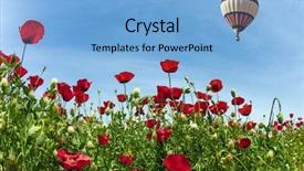  Presentation with rural tourism concept - Slide set featuring magnificent wildflowers - red anemones early background and a light blue colored foreground