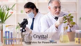  Presentation with automation in lab - Slide set having laboratory tree - two chemists working background and a  colored foreground