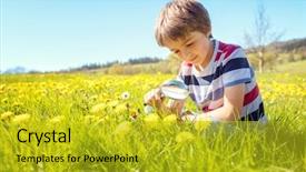  Presentation with looking glass - PPT theme with magnifying glass looking for insects background and a gold colored foreground