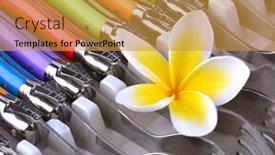  Presentation with magnolia - Audience pleasing slide set consisting of magnolia flower backdrop and a gold colored foreground