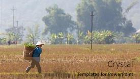  Presentation with vietnam farmer - Colorful presentation theme enhanced with mai-chau-vietnam-december-20 backdrop and a coral colored foreground