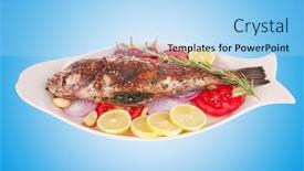  Presentation with main course - Slides enhanced with camera concept of good quality background and a coral colored foreground