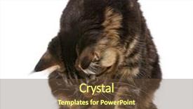  Presentation with maine - PPT layouts consisting of three pillows isolated on white background and a sky blue colored foreground