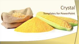  Presentation with maize - Cool new slides with maize - bag with corn seeds cornmeal backdrop and a cream colored foreground
