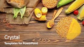  Presentation with maize - Colorful PPT layouts enhanced with maize - composition of corn seeds backdrop and a tawny brown colored foreground