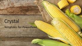  Presentation with corn cobs - PPT theme consisting of maize - fresh corn cobs on wooden background and a yellow colored foreground