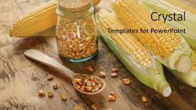  Presentation with corn - Beautiful PPT theme featuring maize harvest - composition with fresh corn backdrop and a yellow colored foreground