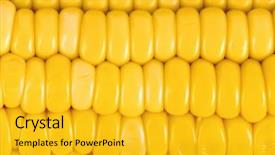  Presentation with maize - Amazing presentation theme having maize harvest - ear of corn - food backdrop and a gold colored foreground