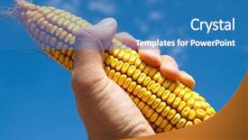  Presentation with maize - Amazing slide deck having maize in hand under sky backdrop and a teal colored foreground