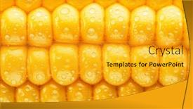  Presentation with maize - Slide deck consisting of maize-seeds-in-corn-cob background and a  colored foreground