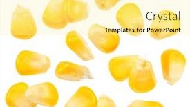  Presentation with maize - PPT theme having maize-seeds-or-corn-seeds background and a  colored foreground