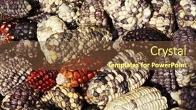 Presentation with maize - Presentation design having maize-textute background and a tawny brown colored foreground