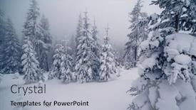  Presentation with foggy - 