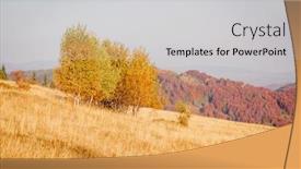  Presentation with magical - Colorful PPT layouts enhanced with image of birches in sunny backdrop and a light gray colored foreground