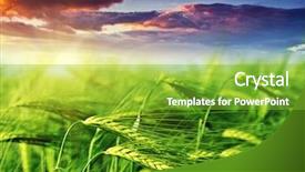  Presentation with field of dreams - Theme having majestic landscape in the field background and a shamrock green colored foreground