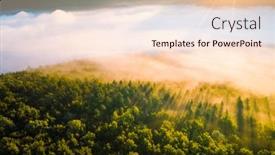  Presentation with light rays - Beautiful PPT theme featuring majestic-misty-view-of-tree backdrop and a lemonade colored foreground