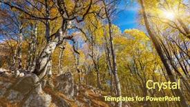  Presentation with forest morning - Colorful presentation enhanced with majestic morning colorful forest autumn leaves crimea ukraine europe beauty world backdrop and a tawny brown colored foreground