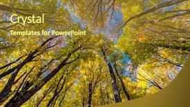  Presentation with forest morning - Audience pleasing PPT theme consisting of majestic morning colorful forest autumn backdrop and a tawny brown colored foreground