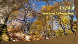  Presentation with forest morning - Beautiful slide set featuring majestic morning colorful forest autumn leaves crimea ukraine europe beauty world backdrop and a tawny brown colored foreground