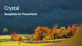  Presentation with forest morning - Audience pleasing presentation theme consisting of majestic morning mountain landscape with colorful forest autumn leaves carpathian ukraine europe beauty world backdrop and a ocean colored foreground