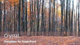 Presentation with fall mountains - Theme having majestic-old-beech-forest background and a coral colored foreground