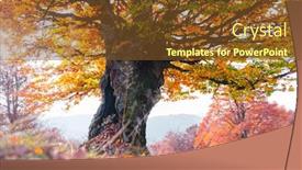  Presentation with fall mountains - Slide deck featuring majestic-old-beech-tree background and a tawny brown colored foreground