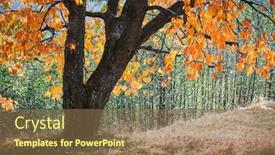  Presentation with fall mountains - Slide deck with majestic-old-tree-with-yellow background and a tawny brown colored foreground