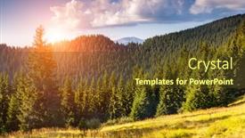  Presentation with green beauty - 