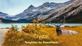  Presentation with deer - Cool new theme with majestic-rockies-of-canada-beautiful backdrop and a tawny brown colored foreground