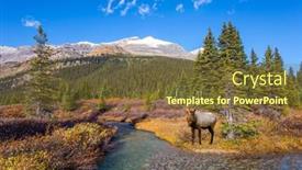  Presentation with antlers - Slide deck featuring majestic-rocky-mountains-of-canada background and a tawny brown colored foreground