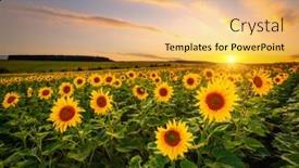  Presentation with earth land - Beautiful slides featuring majestic-scene-of-vivid-yellow backdrop and a lemonade colored foreground