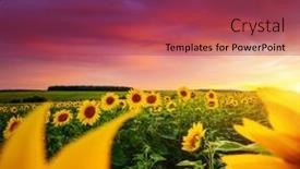  Presentation with earth land - PPT layouts having majestic-scene-of-vivid-yellow background and a red colored foreground