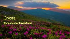  Presentation with pink beauty - Presentation theme consisting of majestic-summer-scene-with-pink background and a tawny brown colored foreground