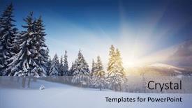  Presentation with winter wonderland - Colorful theme enhanced with majestic sunset in the winter backdrop and a light blue colored foreground