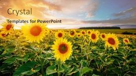  Presentation with earth land - Presentation with majestic-view-with-bright-yellow background and a yellow colored foreground