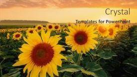  Presentation with earth land - Presentation theme having majestic-view-with-bright-yellow background and a yellow colored foreground