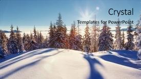  Presentation with winter scene - Slide set featuring fir tree - majestic winter landscape glowing background and a light blue colored foreground