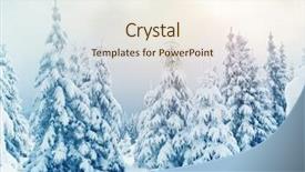  Presentation with happy new year - Audience pleasing presentation consisting of majestic winter trees glowing backdrop and a cream colored foreground