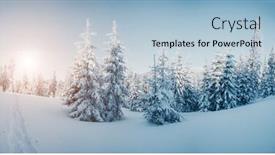  Presentation with happy new year - Colorful slide set enhanced with majestic-winter-trees-glowing backdrop and a  colored foreground