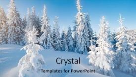  Presentation with winter wonderland - Beautiful slide set featuring majestic winter trees glowing backdrop and a light blue colored foreground