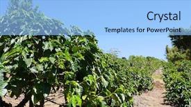  Presentation with costa rica - Cool new PPT theme with major part of costa rica backdrop and a light blue colored foreground