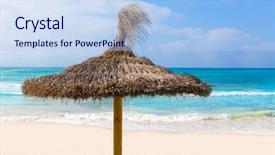  Presentation with beach palm tree wedding - PPT layouts featuring majorca es trenc ses arenes background and a  colored foreground