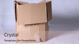  Presentation with rat - Colorful PPT theme enhanced with make a house to stay backdrop and a coral colored foreground