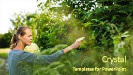  Presentation with infusion - Beautiful PPT theme featuring make an infusion at home backdrop and a  colored foreground