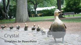  Presentation with gardens - Colorful PPT layouts enhanced with make-way-for-ducklings-sculpture backdrop and a light gray colored foreground