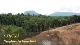  Presentation with palm oil - Presentation design with photo rainforest jungle in borneo background and a tawny brown colored foreground